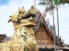 -西双版纳傣族园