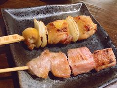 京葱鸡腿肉-串鑫