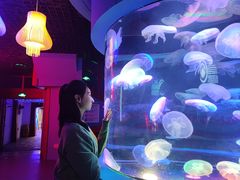 -中央电视塔旋转餐厅