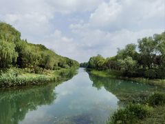 -贡湖湾湿地公园