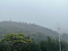 -沂蒙山旅游区云蒙景区(蒙山国家森林公园)
