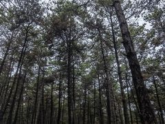 -长春净月潭风景名胜区