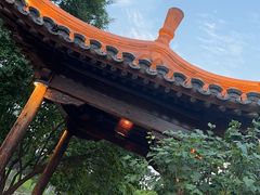 -三里河公园