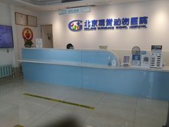 -北京观赏动物医院·24小时大型综合·猫专科·异宠专科