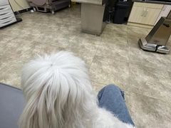 -美联众合动物医院·24h转诊中心