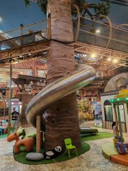 -卡通尼·Safari非洲探索乐园·生日会(金桥国际商业广场店)