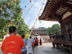 -庐山风景名胜区-东林大佛