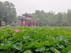 -四川大学(望江校区)
