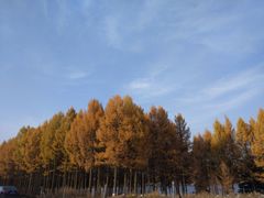 -塞罕坝国家级自然保护区