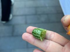 -西双版纳总佛寺