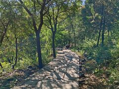 -北京十三陵国家森林公园蟒山景区