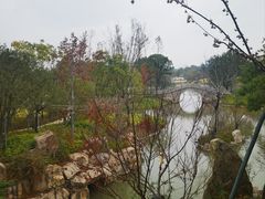 -江心屿景区