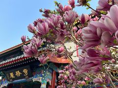 -天津大悲禅院