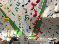 -绿壁虎攀岩基地(Tcar店)