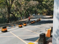 -南国桃园旅游度假区