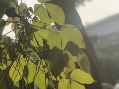 -伦教678文化街