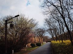 -苏州太湖国家湿地公园