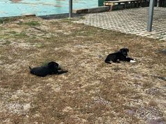 -北京十三陵国家森林公园蟒山景区