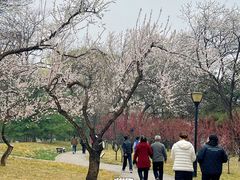 -玲珑塔公园