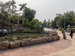 -美的鹭湖探索王国