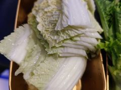 -Darling Queen·Mini·Live·House