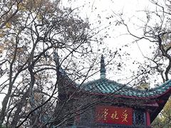 -岳麓山风景名胜区