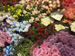 -双季花艺园艺市场(浦东店)