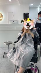 点击看大图 -Coo Hair salon