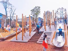 -铁山坪森林公园