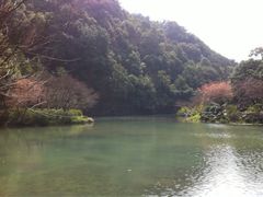 iphone_upload_pic-九溪烟树