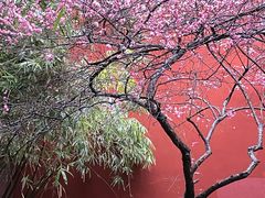 -钱王祠