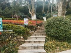 -菊花台公园
