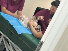 -美联众合爱康动物医院•复杂内科•肿瘤科•牙科•腔镜诊疗中心