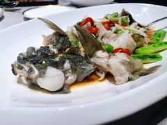 鲜花椒蒸笋壳鱼-粤凤佬