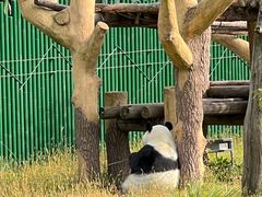 -沈阳森林动物园
