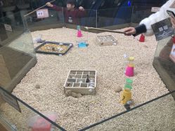 -未来动物城主题公园(正弘城店)