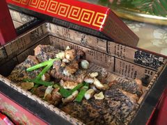 -老房子金沙元年川菜食府·花园餐厅(金沙店)