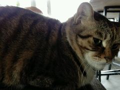 -1984魔法桌游(观音桥店)