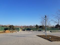 -莫子山公园