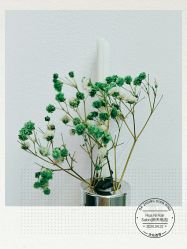 -FUTURE HN男士发型风格设计