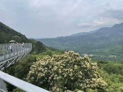-大余丫山旅游度假区
