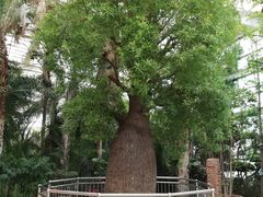 -石家庄市植物园