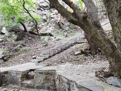 -金龙寺国家森林公园