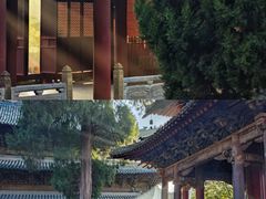 -报恩寺(平武县)