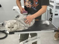 -comecome来吧宠物(奥克斯中心店)