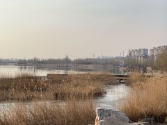 -马家湾湿地公园