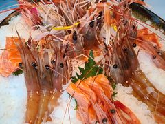 牡丹虾刺身-芥末日本料理(打浦路铂尔曼旗舰店)