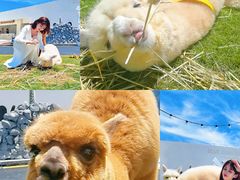 -Blue Concept Cafe&Farm·關於藍