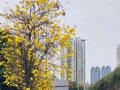 -晓港公园