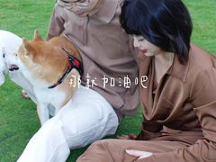 -府河摄影公园